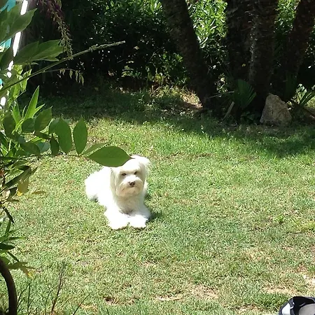 Belvedere Residenza Mediterranea Portoferraio